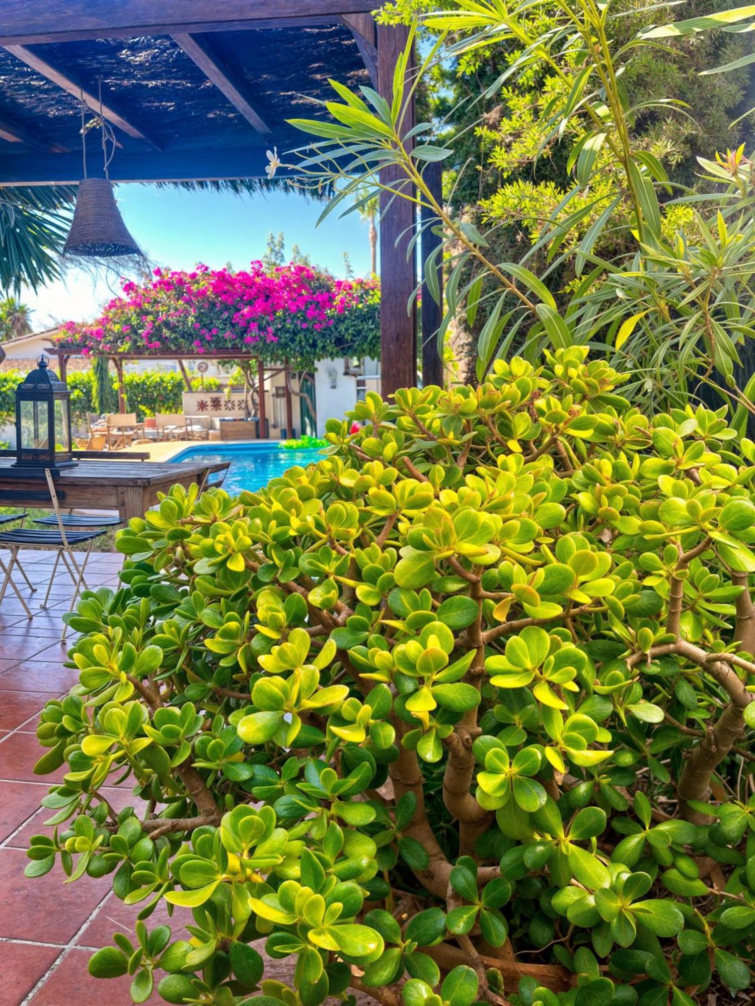 Villa Alfredo - Private Pool Next To The Beach Эстепона Экстерьер фото